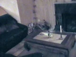 Un Lama dans mon salon Xtrem