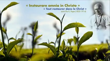 Notre charge apostolique Pape saint Pie X