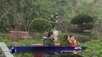 المعالم المعمارية المقلدة تنتشر في الصين