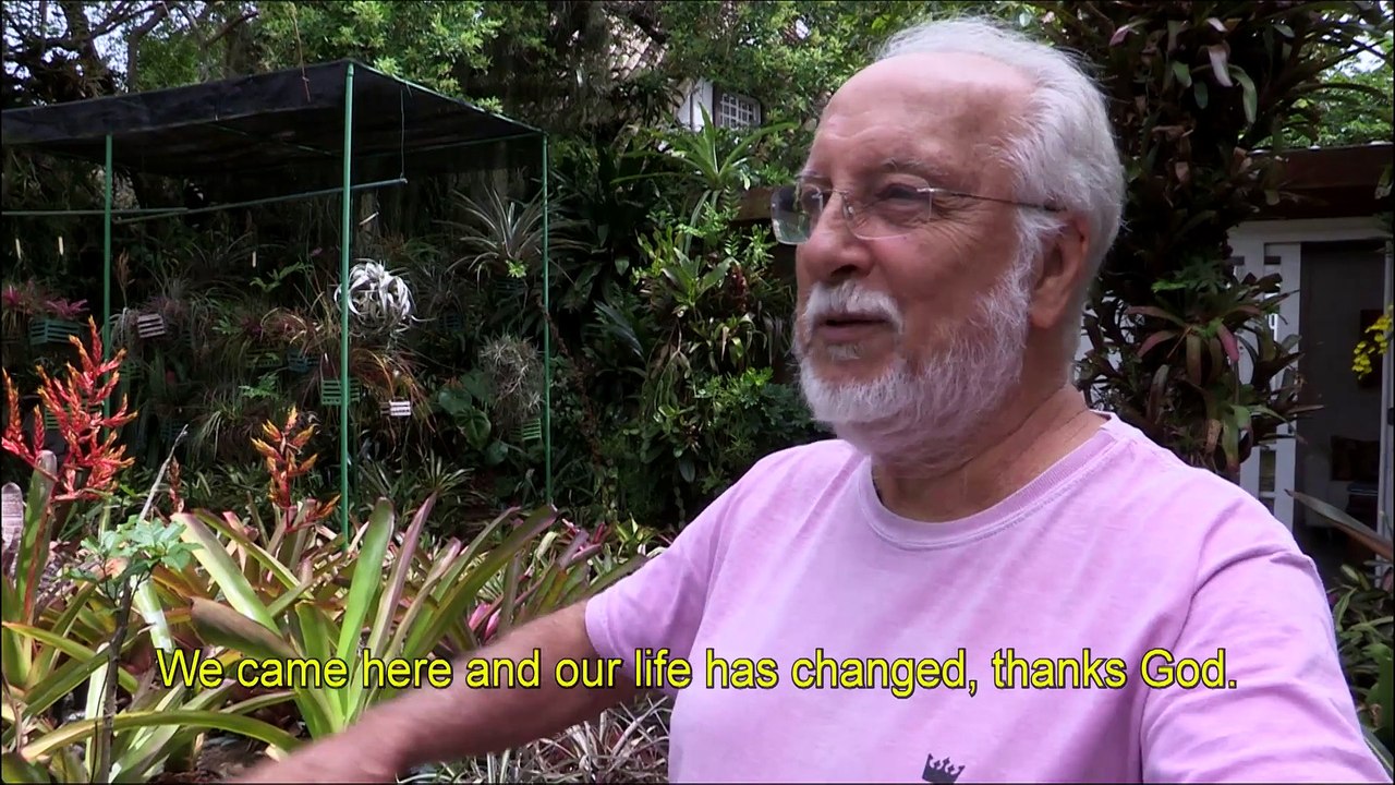 Ode to the lavish forest