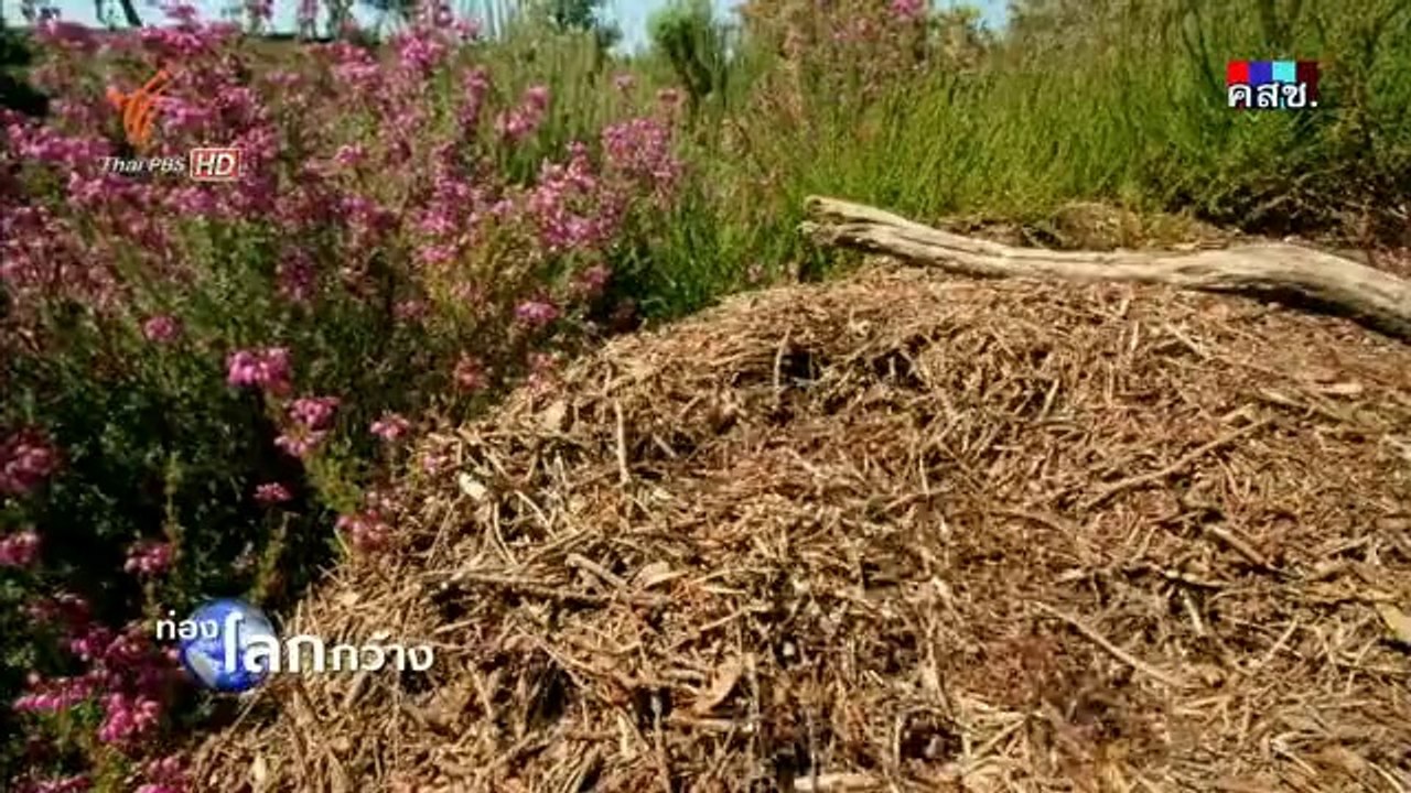 แดนแห่งธรรมชาติสุดขั้ว - ฤดูร้อน 4Jun14