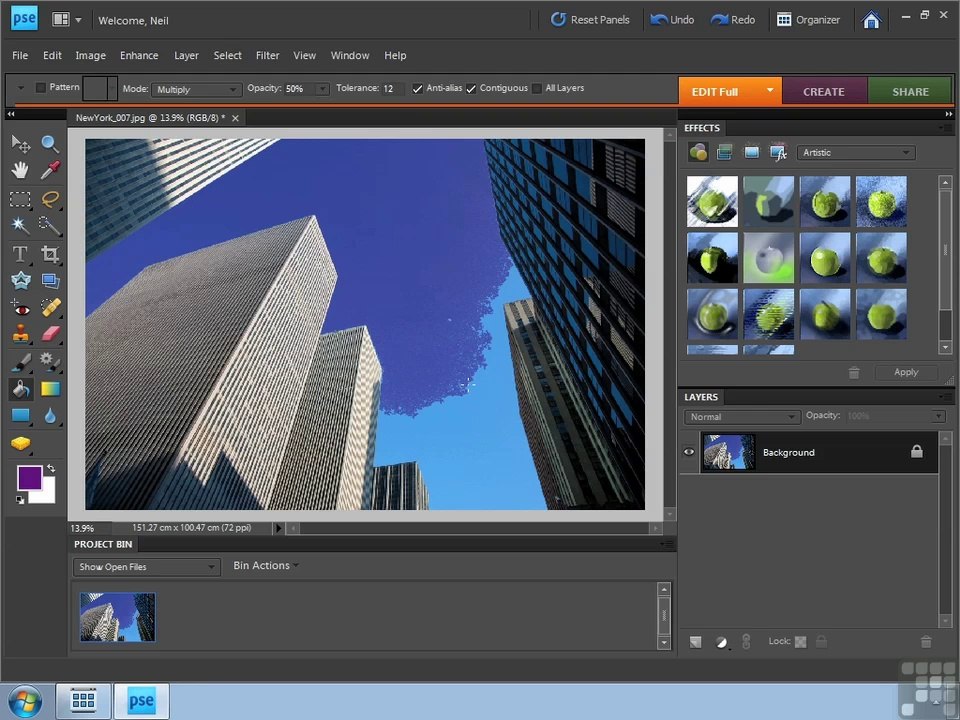 Adobe Photoshop Elements 8 part