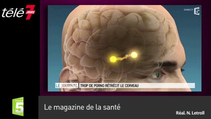 Zapping : Trop de porno rétrécit le cerveau !