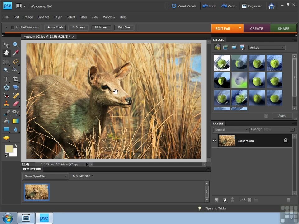 Adobe Photoshop Elements 8 part