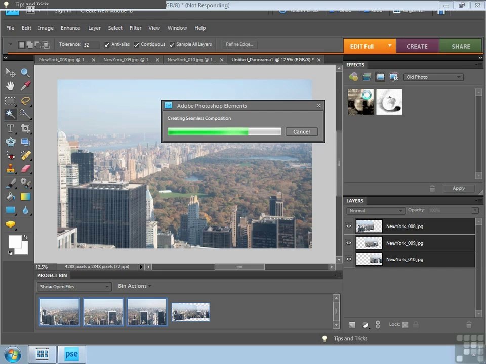 Adobe Photoshop Elements 8 part