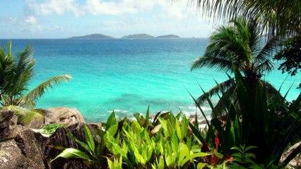 Seychelles / La Digue Island / Turtles --- Сейшельские черепахи