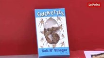 Des insectes aux bonbons