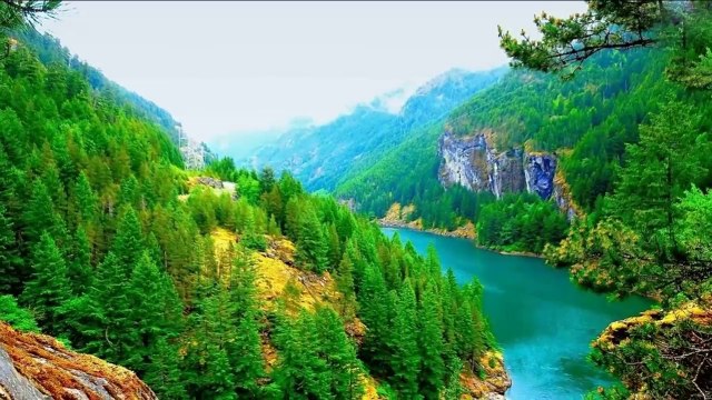 Silence... ...(music Ernesto Cortazar)... ...