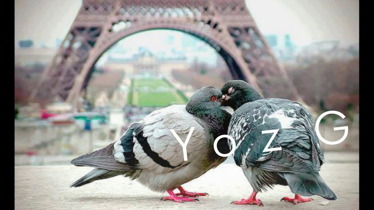 Ismail Yk ft Erkam Aydar - Nasil Mutluluklar dilerim 2014