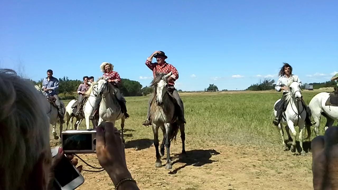 gallician anpei 2014, manade Martini