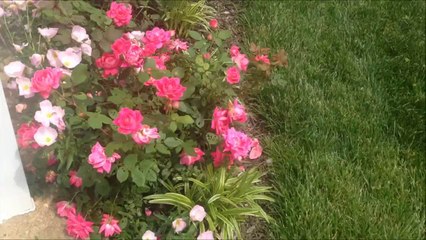 Weekly Vlog Shopping, Makeup, Baby stuff, Good Food!