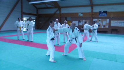 Ju-jitsu cours du 03/6/2014