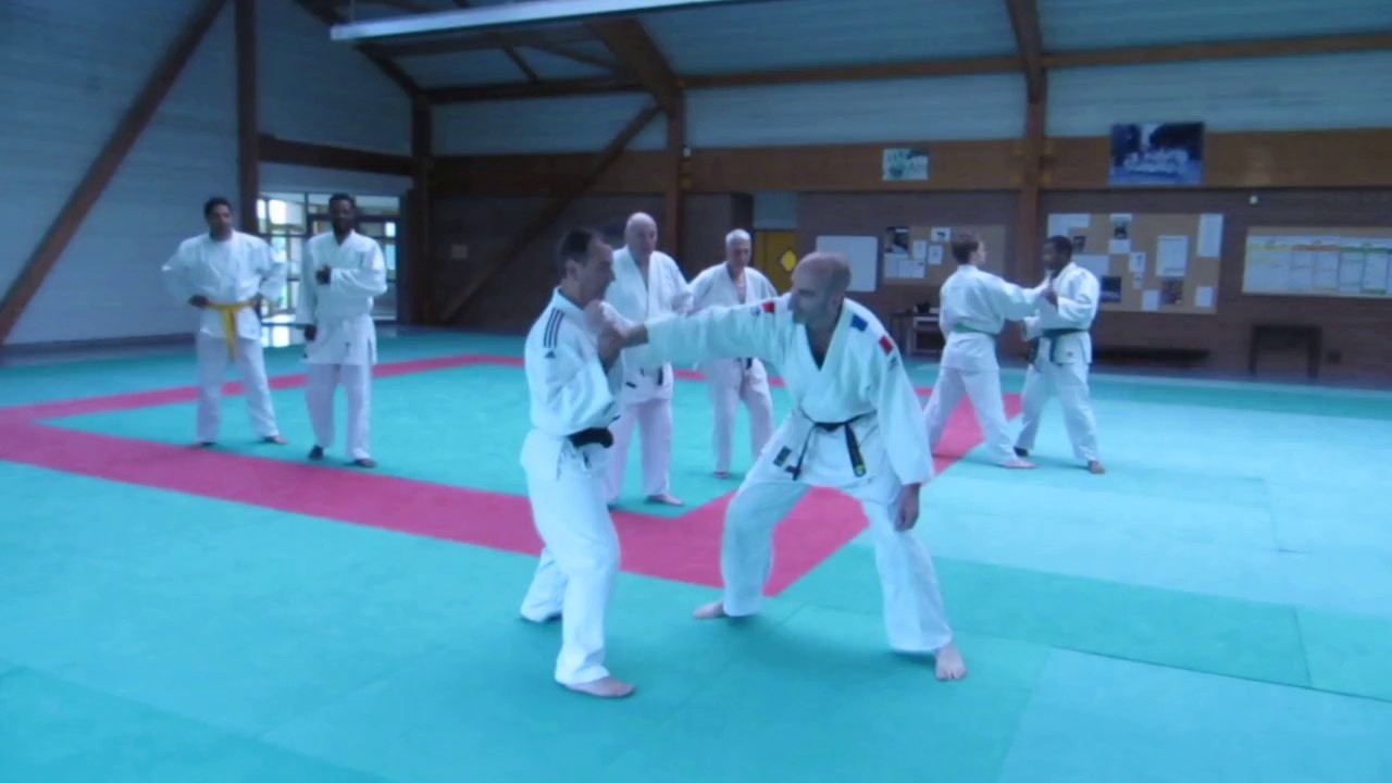 Ju-jitsu cours du 03/6/2014