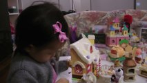 Sylvanian Families And Gingerbread House