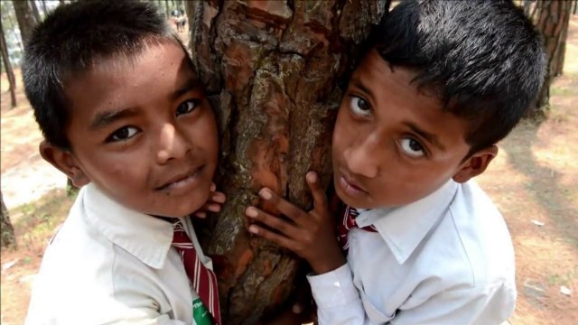 Árvores são abraçadas no dia do Meio Ambiente