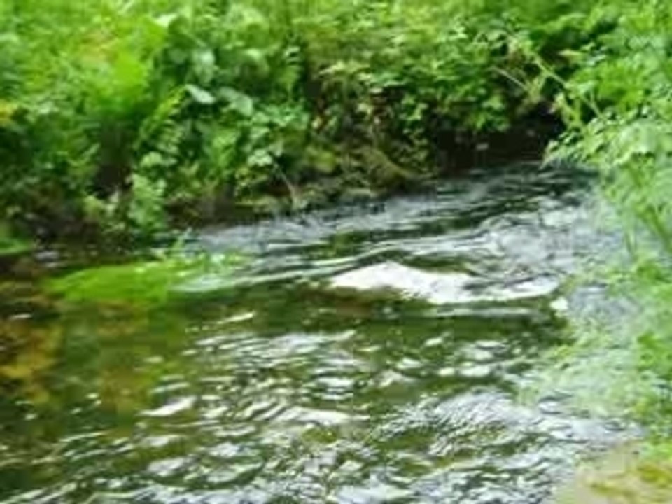 Sentier des trois ormes LANDUDEC