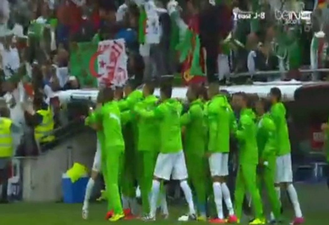 Algerie Vs Roumanie 1-1 Alexandru Chipciu