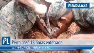 Dog spent 18 hours buried in San Pedro Necta
