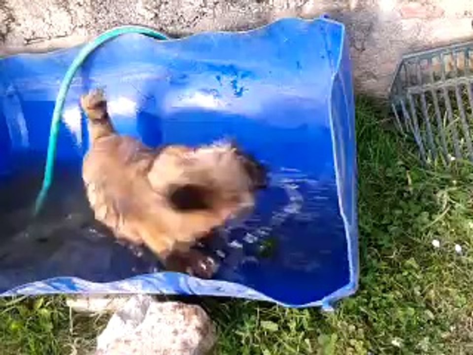 Rinçage à l'eau propre toujours avec Jade'or !