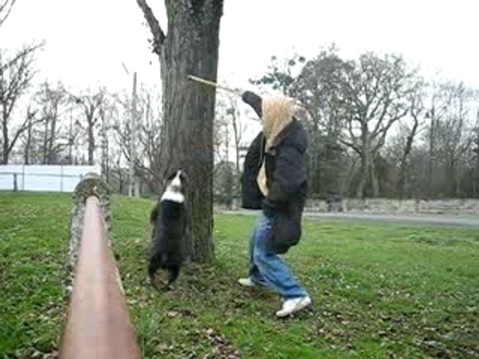 Atos ki monte o arbres !!!