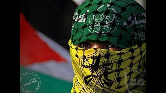 Arabic Music- Ode to the girls of Palestine Dabke Song