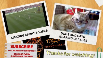 Kedinin fendi köpeği yendi