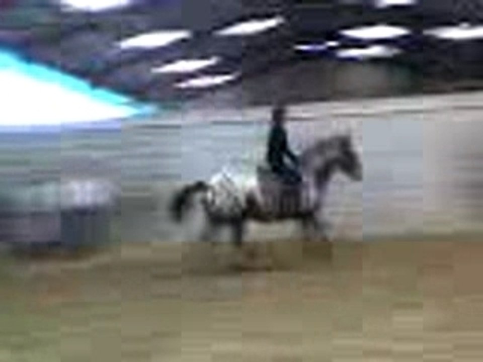 Laura et brownie7