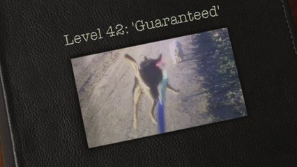 Level 42: 'Guaranteed'