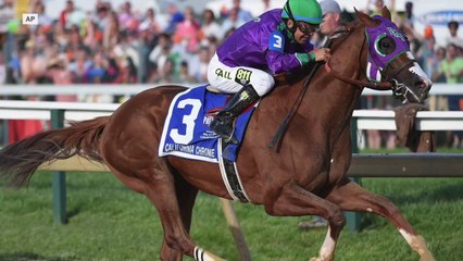 Belmont Stakes, California Chrome by the numbers