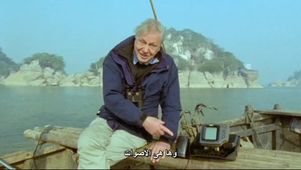 حياه الثديات الحلقه السابعه العودة الى المياة BBC