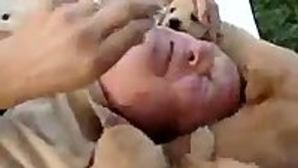 Drowning in puppies