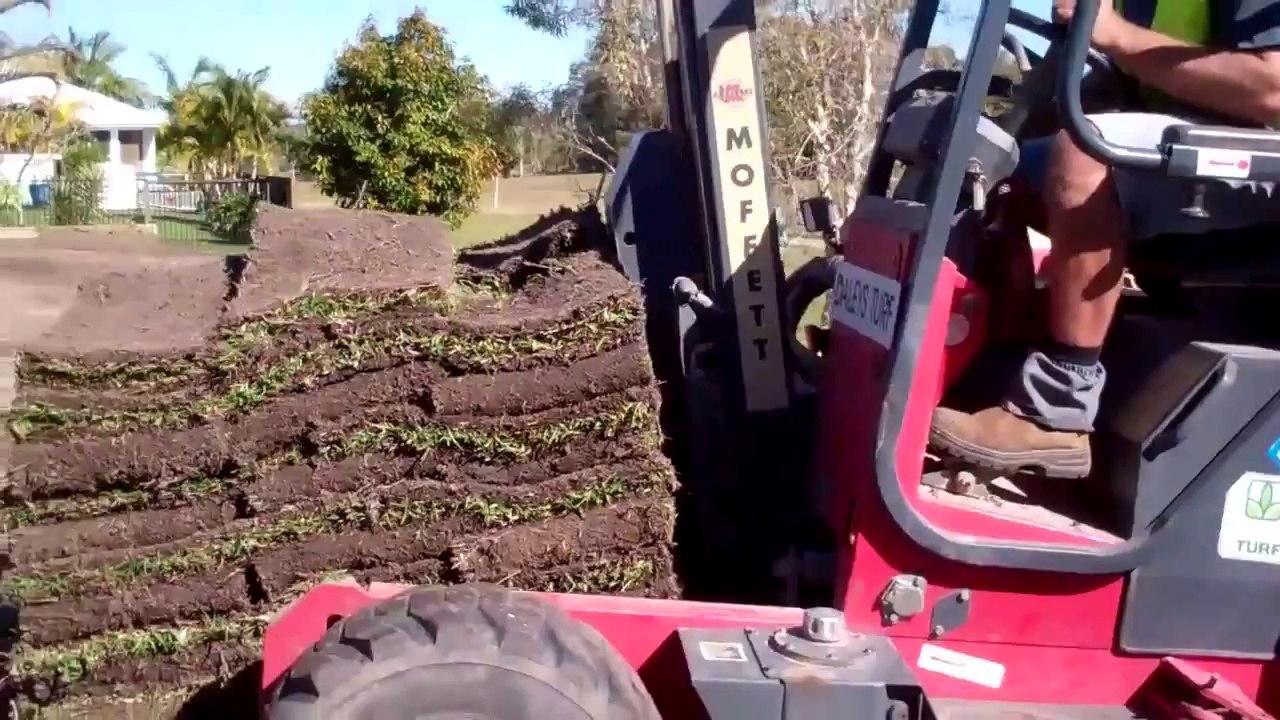 How We Deliver Lawn Turf   Premium Lawn Turf   Sunshine Coast