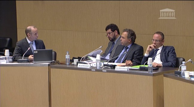 Audition de M. Jean-Christophe Dumont, chef de la division des migrations internationales de l'OCDE - Mercredi 4 Juin 2014