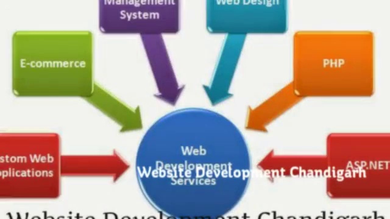Top Software Development Agency
