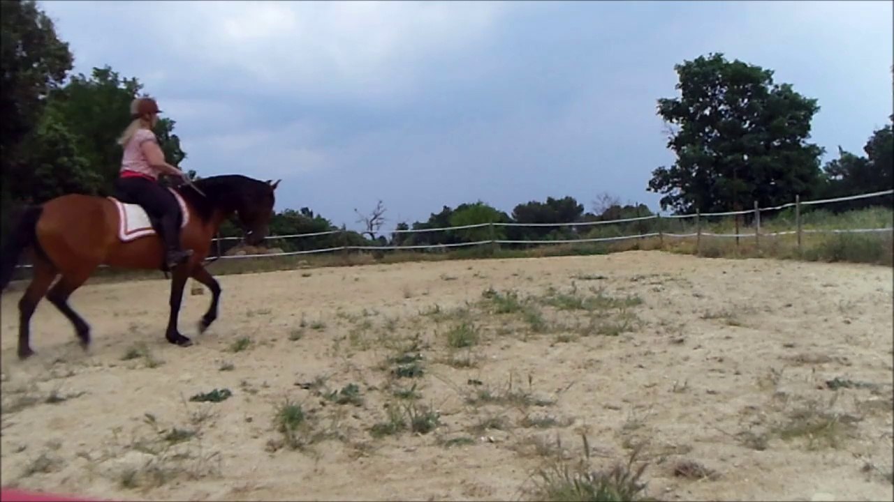 Autentica VI 03.06.14 II