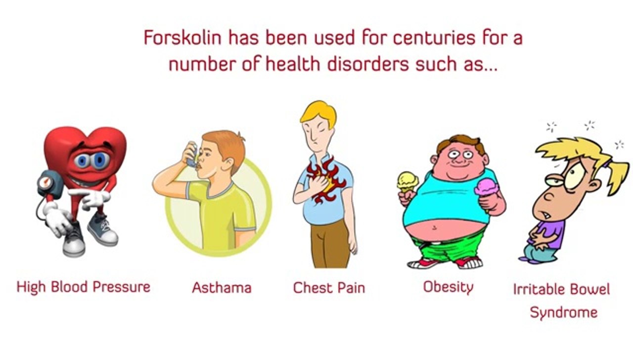 PREMIUM FORSKOLIN