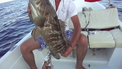 AKYA OLTASI İLE LAGOS AVI - www.adrasanbalik.com