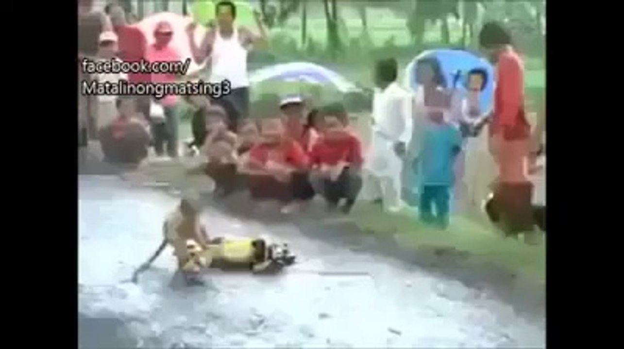 motorcu maymun