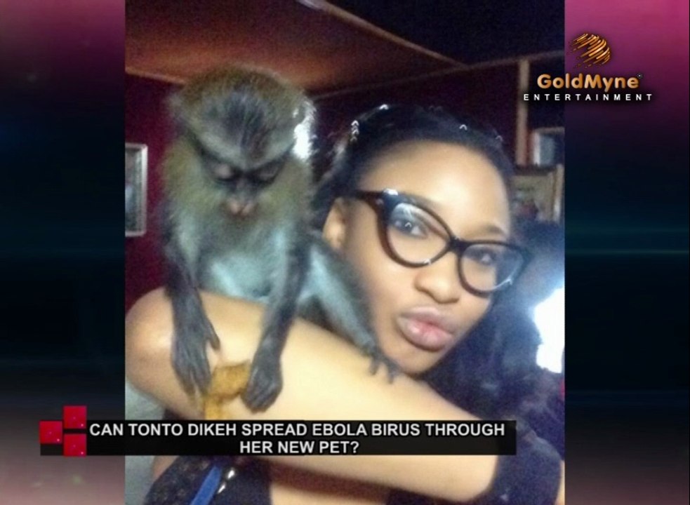 CAN ACTRESS TONTO DIKEH SPREAD EBOLA VIRUS THROUGH HER NEW PET