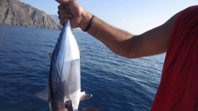 ADRASANDA YAZILI ORKİNOS AVI SEVİNCİ - adrasanbalik.com