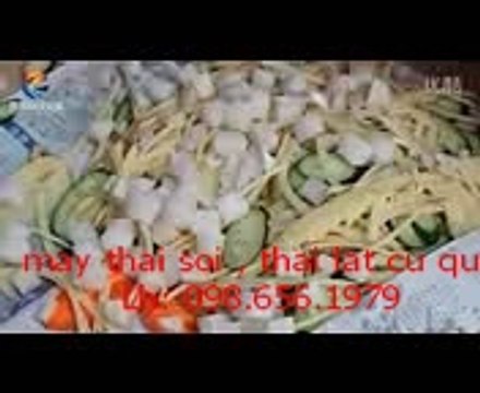 máy thái sợi củ quả, máy thái lát khoai tây cà rốt, máy thái củ quả đa chức năng