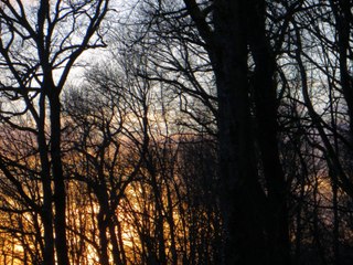 12 Petits Préludes Hypertonaux pour guitare solo Colette Mourey EMR 18567 Edition Marc Reift (4)