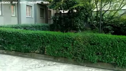 Videotest HTC Desire 601