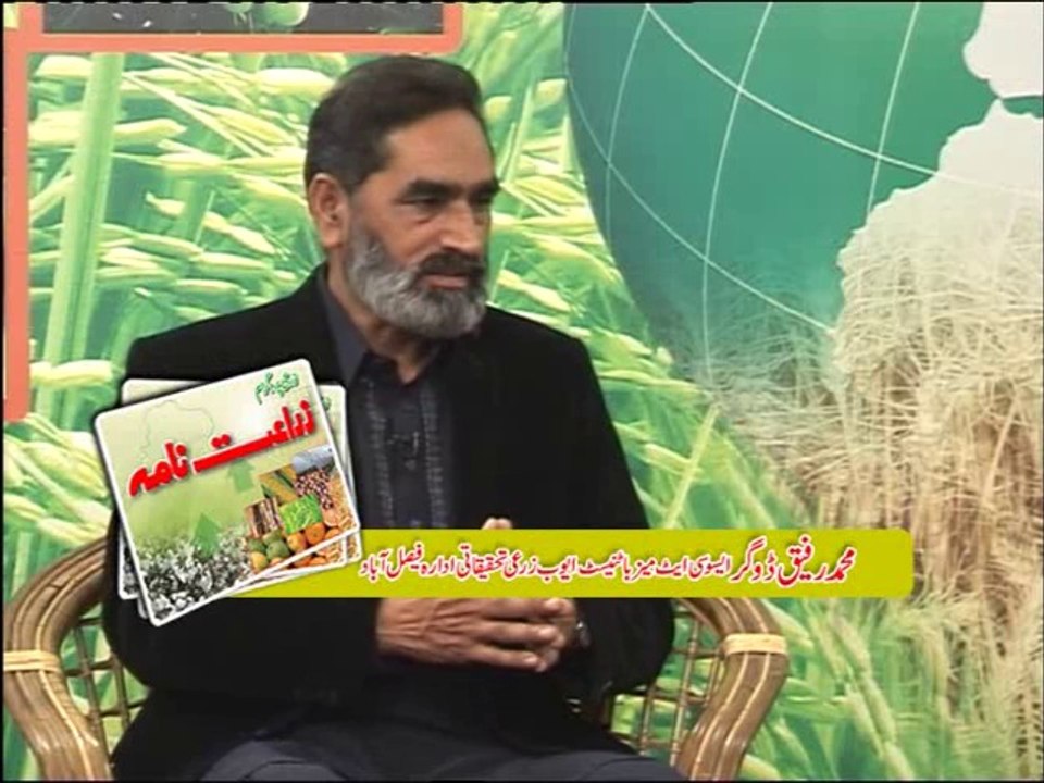 Talk Show on Maize 10-2-2014