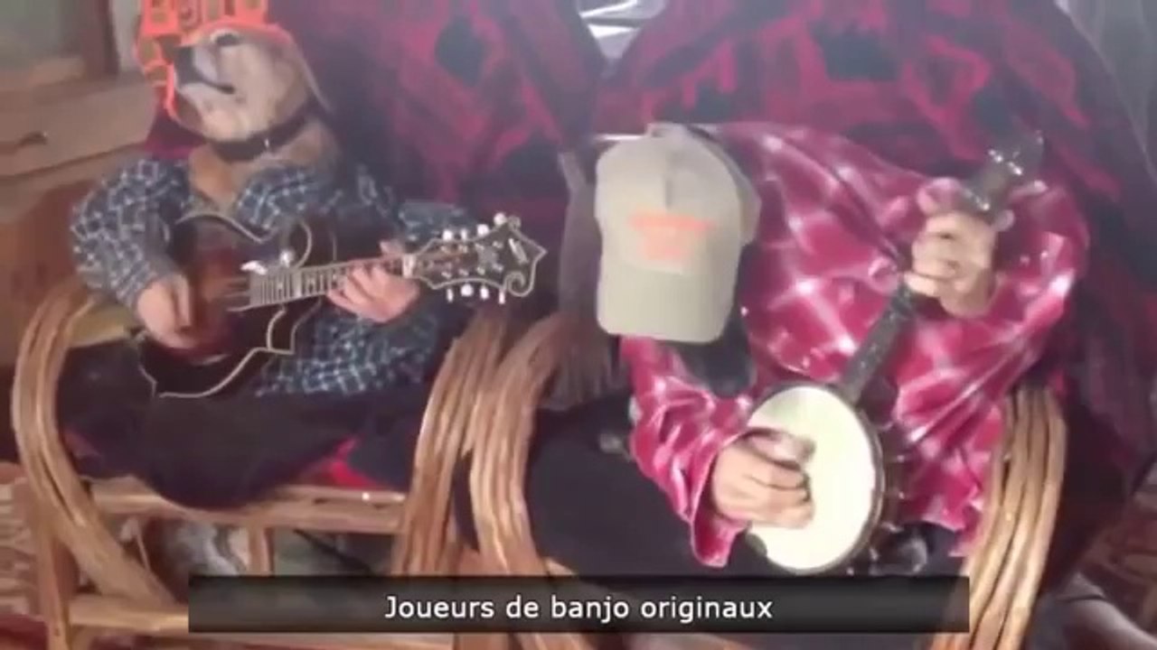 FUNNY VIDEOS FAIL COMPILATION 2013 - THE VIDEO BEST OF HD