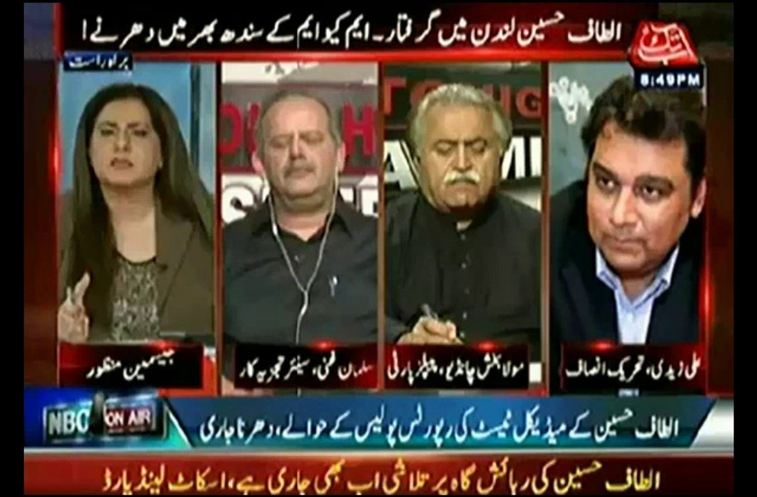 Ali Zaidi (PTI), in Tonight With Jasmeen – 4th June 2014