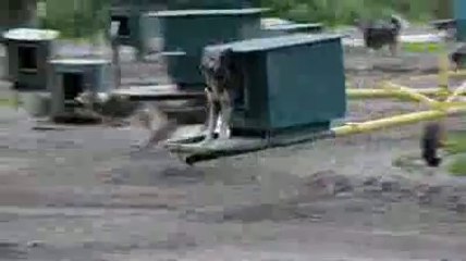 ＠카지노무료머니＠ª◑▶ ＹＡＭ ７７７.℃OM ◁◐♪카지노무료머니카지노무료머니카지노무료머니카지노무료머니카지노무료머니카지노무료머니카지노무료머니카지노무료머니