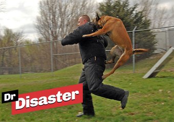 L'insolite plaquage d'un chien sur son maître / Dr Disaster
