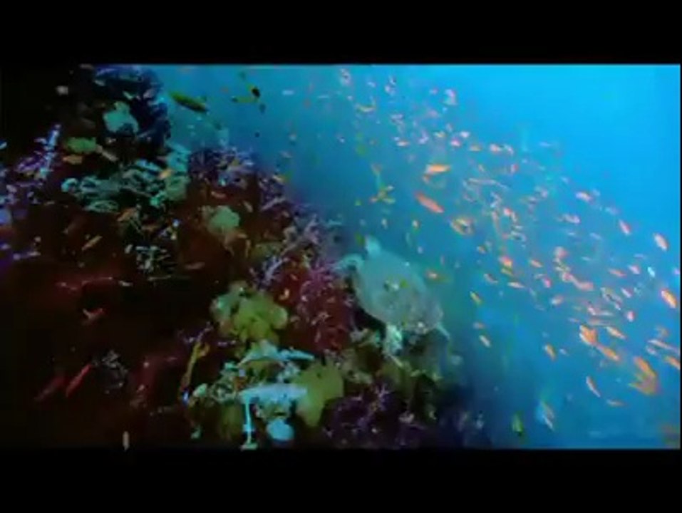 complex of earth