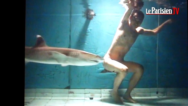 Monaco. De l'art contemporain pour sauver les requins